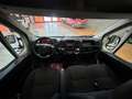 Citroen jumper 2,2 Hdi 7- Blanc - thumbnail 15