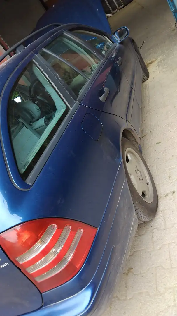 Mercedes-Benz 220 Cdi Bleu - 1