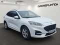 Ford Kuga 2,5 Duratec FHEV AWD ST-Line X Aut. *SOFORT VER... Weiß - thumbnail 2