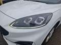 Ford Kuga 2,5 Duratec FHEV AWD ST-Line X Aut. *SOFORT VER... Weiß - thumbnail 7