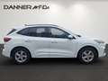 Ford Kuga 2,5 Duratec FHEV AWD ST-Line X Aut. *SOFORT VER... Weiß - thumbnail 3