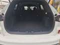 Ford Kuga 2,5 Duratec FHEV AWD ST-Line X Aut. *SOFORT VER... Weiß - thumbnail 9