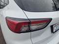 Ford Kuga 2,5 Duratec FHEV AWD ST-Line X Aut. *SOFORT VER... Weiß - thumbnail 11