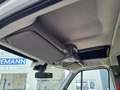 Renault Master 3,5 Pritsche Schiebe Plane Schlafkab. Wit - thumbnail 13