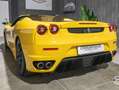 Ferrari F430 Spider 4.3 F1 60th - SERVICE BOOK - FRIZIONE 80% Amarillo - thumbnail 7