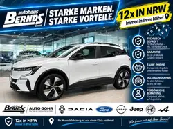 Renault Megane EV40 OpenR DAB+ CarPlay HiFi LED Kamera Handsfree