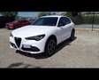 Alfa Romeo Stelvio - Stelvio 2.2 Turbodiesel 210 CV AT8 Q4 Veloce Bianco - thumbnail 1