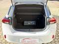 Opel Corsa 1.2 100 MT6 S&S Edition Bianco - thumbnail 14