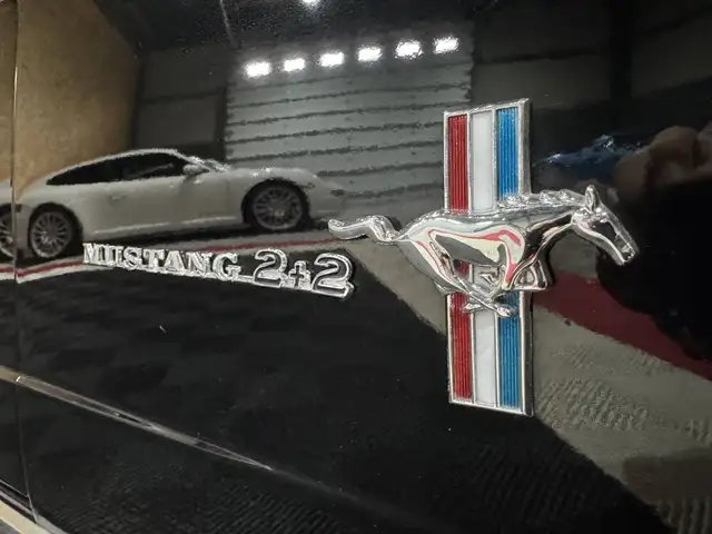 Ford Mustang view 14