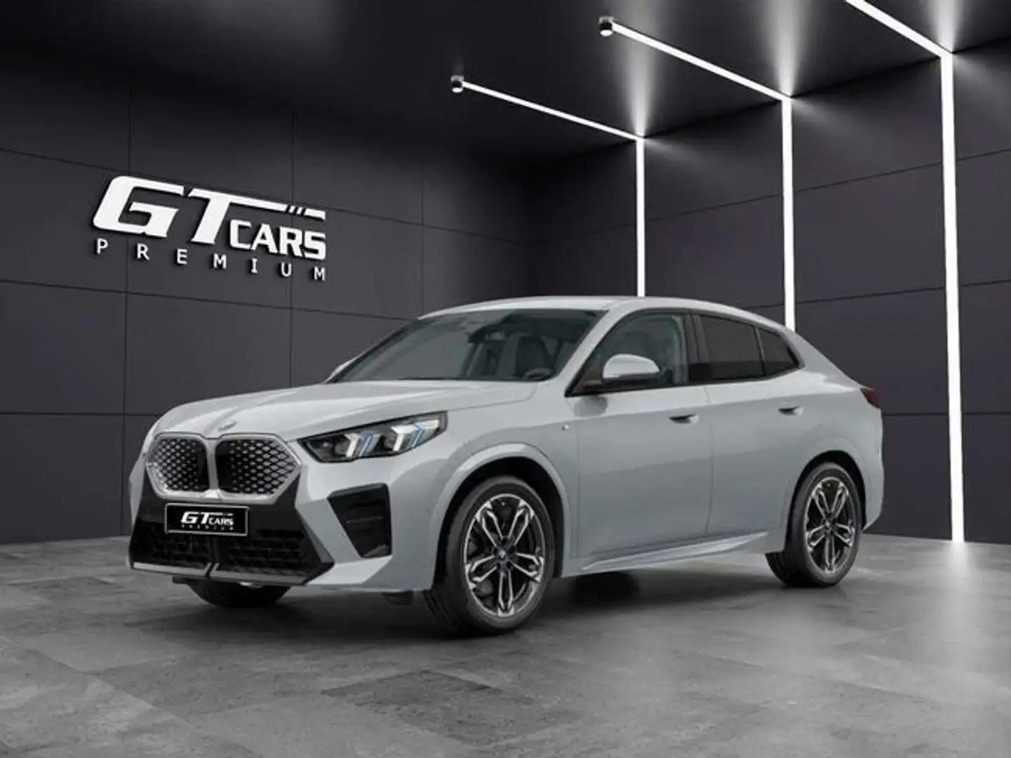 BMW iX2 xDrive30A Gris - 1
