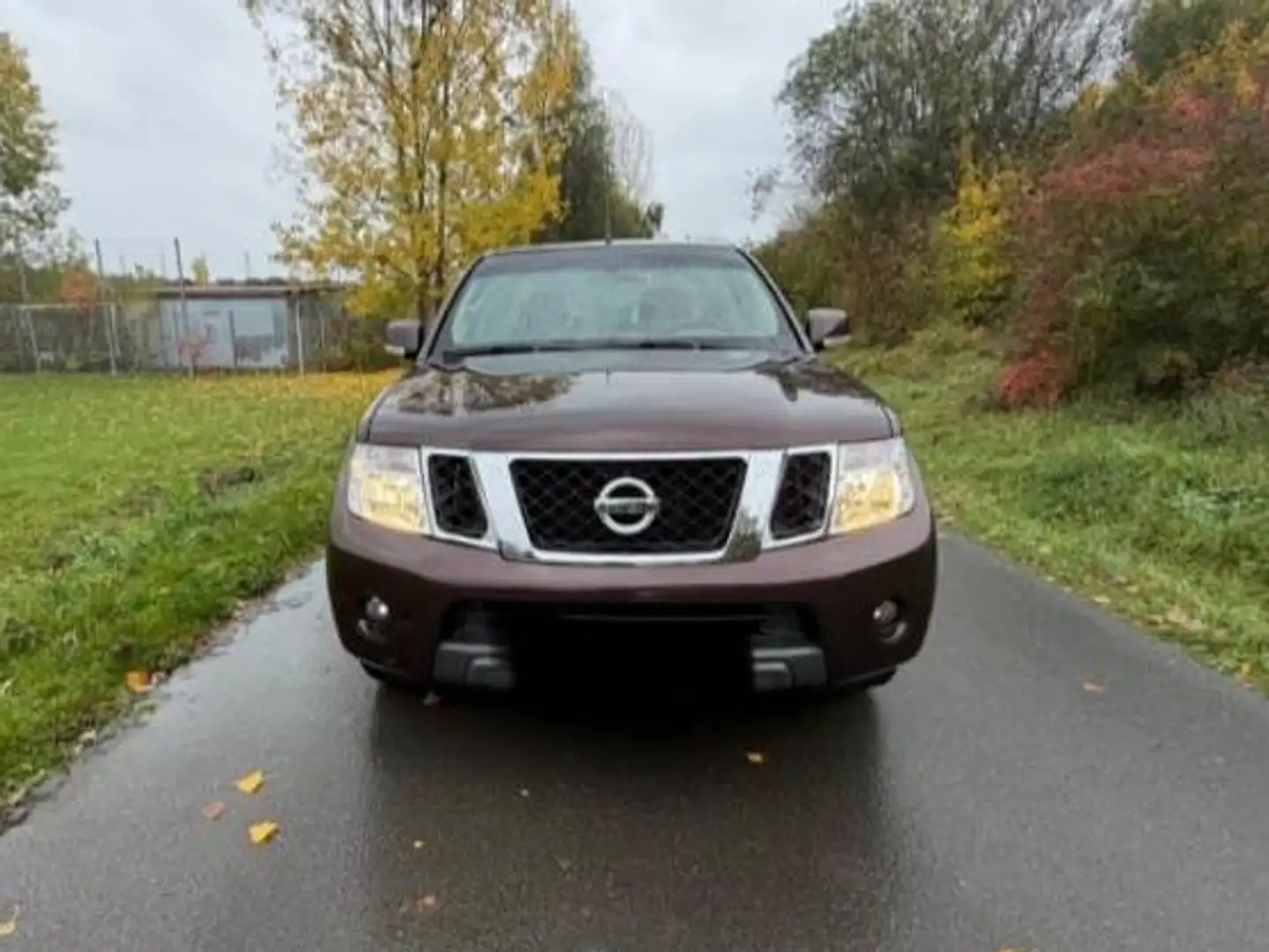 Nissan Navara Navara 2.5 dci d.cab Sport Bruin - 1