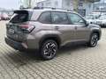 Subaru Forester 2.0ie AWD Exclusive SD*Abstand*Spur*NAV Braun - thumbnail 5