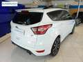 Ford Kuga 1.5 EcoB. Auto S&S ST-Line Limited Edition 4x2 150 Blanco - thumbnail 7