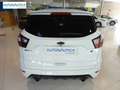 Ford Kuga 1.5 EcoB. Auto S&S ST-Line Limited Edition 4x2 150 Blanco - thumbnail 9