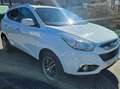 Hyundai iX35 2,0 CRDi Premium 4WD Weiß - thumbnail 2