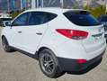 Hyundai iX35 2,0 CRDi Premium 4WD Weiß - thumbnail 3