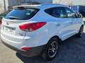 Hyundai iX35 2,0 CRDi Premium 4WD Weiß - thumbnail 4