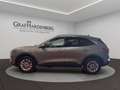 Ford Kuga Plug-In Hybrid Titanium Grau - thumbnail 2