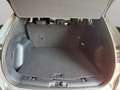 Ford Kuga Plug-In Hybrid Titanium Grau - thumbnail 14