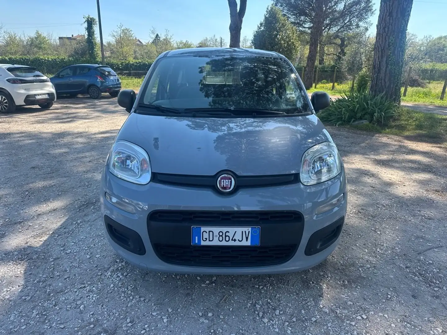 Fiat Panda 1.2 Easy Grigio - 2