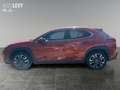 Lexus UX 250h Spurhalteass./Tempomat/Automatik Orange - thumbnail 3