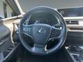 Lexus UX 250h Spurhalteass./Tempomat/Automatik Orange - thumbnail 13