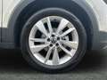 Volkswagen T-Cross Goal 1.0 TSI*LED*NAVI*SHZ*5 J. GAR* Grau - thumbnail 8