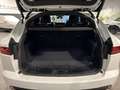 Jaguar E-Pace 2021 - E-Pace 1.5 i3 phev R-Dynamic SE awd 309cv a Bianco - thumbnail 7