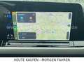 Volkswagen Golf VIII 2,0TDi DSG AHK PDC PANORAMA KAMERA ACC Gris - thumbnail 15
