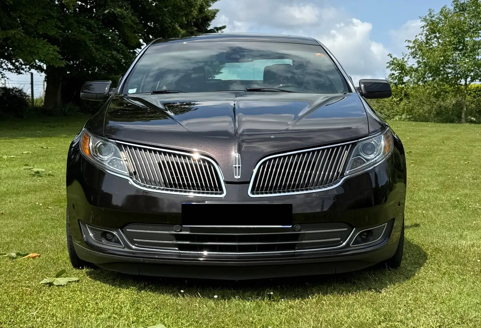 Lincoln Sonstige - 1