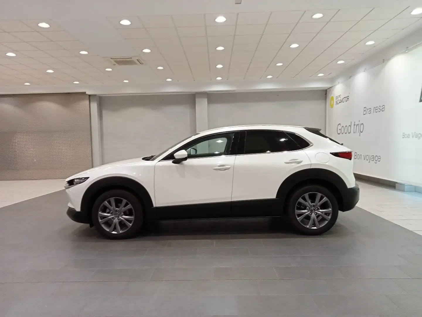 Mazda CX-30 CX30 2.0L e-SKYACTIV G MHEV 902KW 122CV 6MT FWD EX Blanc - 2