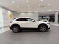 Mazda CX-30 CX30 2.0L e-SKYACTIV G MHEV 902KW 122CV 6MT FWD EX Blanco - thumbnail 5