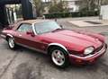 Jaguar XJS 6.0 V12 Introvabile, chilometri certificati. Rot - thumbnail 3