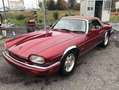 Jaguar XJS 6.0 V12 Introvabile, chilometri certificati. Rot - thumbnail 2