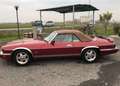 Jaguar XJS 6.0 V12 Introvabile, chilometri certificati. Rot - thumbnail 5