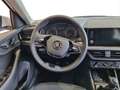 Skoda Kamiq 1.0 TSI Selection Bianco - thumbnail 7