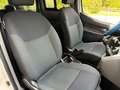 Nissan Evalia NV 200 1.5 DCI Acenta 7 Posti 110cv Tagliandata E6 Bianco - thumbnail 13