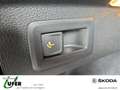 Skoda Scala Drive AHZV KomfortPlus Chrompaket Grau - thumbnail 13