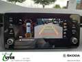 Skoda Scala Drive AHZV KomfortPlus Chrompaket Grau - thumbnail 14