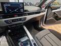 Audi A4 Avant 35 TDI/163 CV S tronic 'IVA ESPOSTA' Argento - thumbnail 13