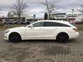 Mercedes-Benz CLS 400 Shooting Brake 9G-TRONIC mit Leistungssteigerung Weiß - thumbnail 9