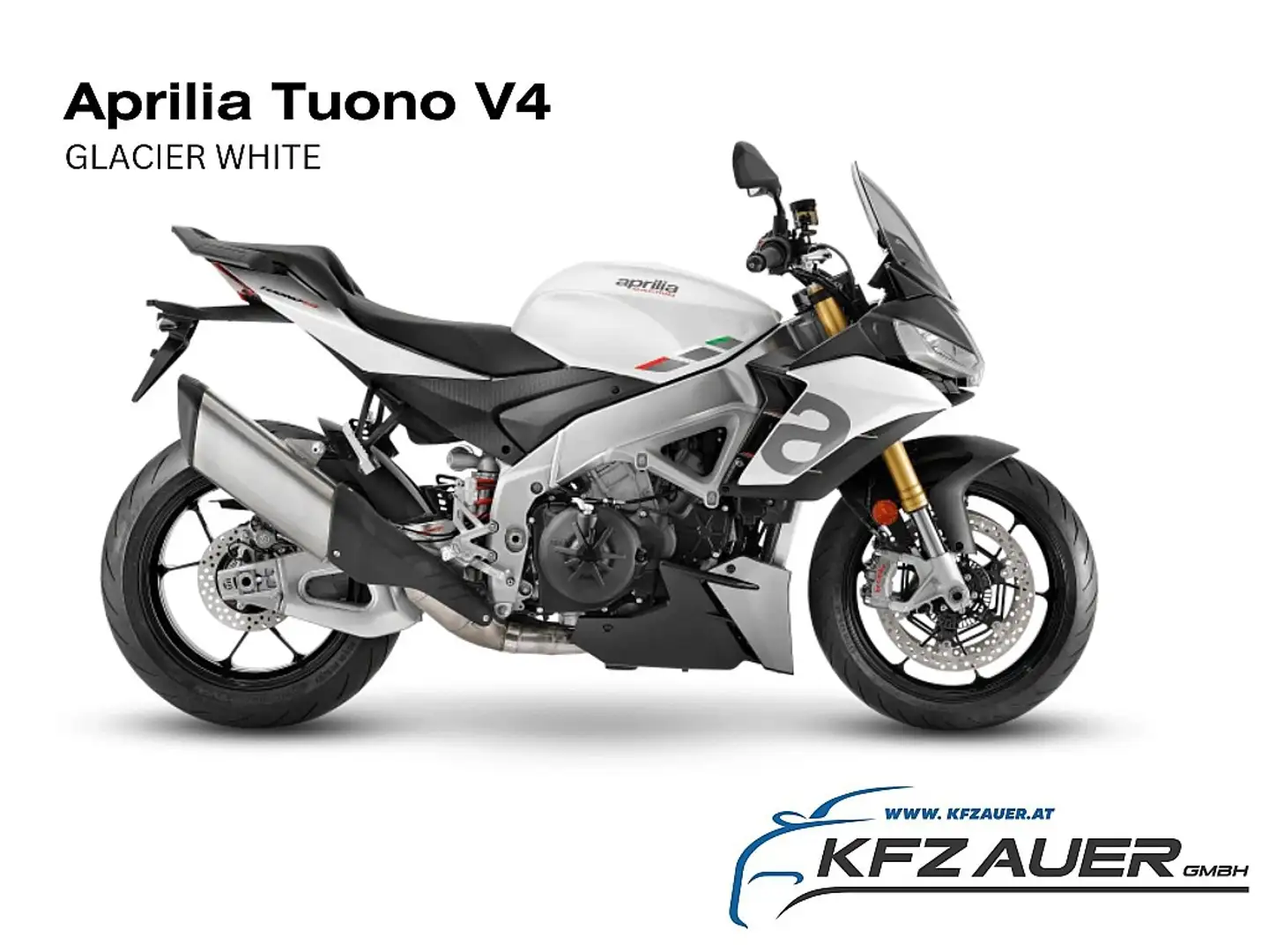 Aprilia Tuono Tuono V4 1100 - 2