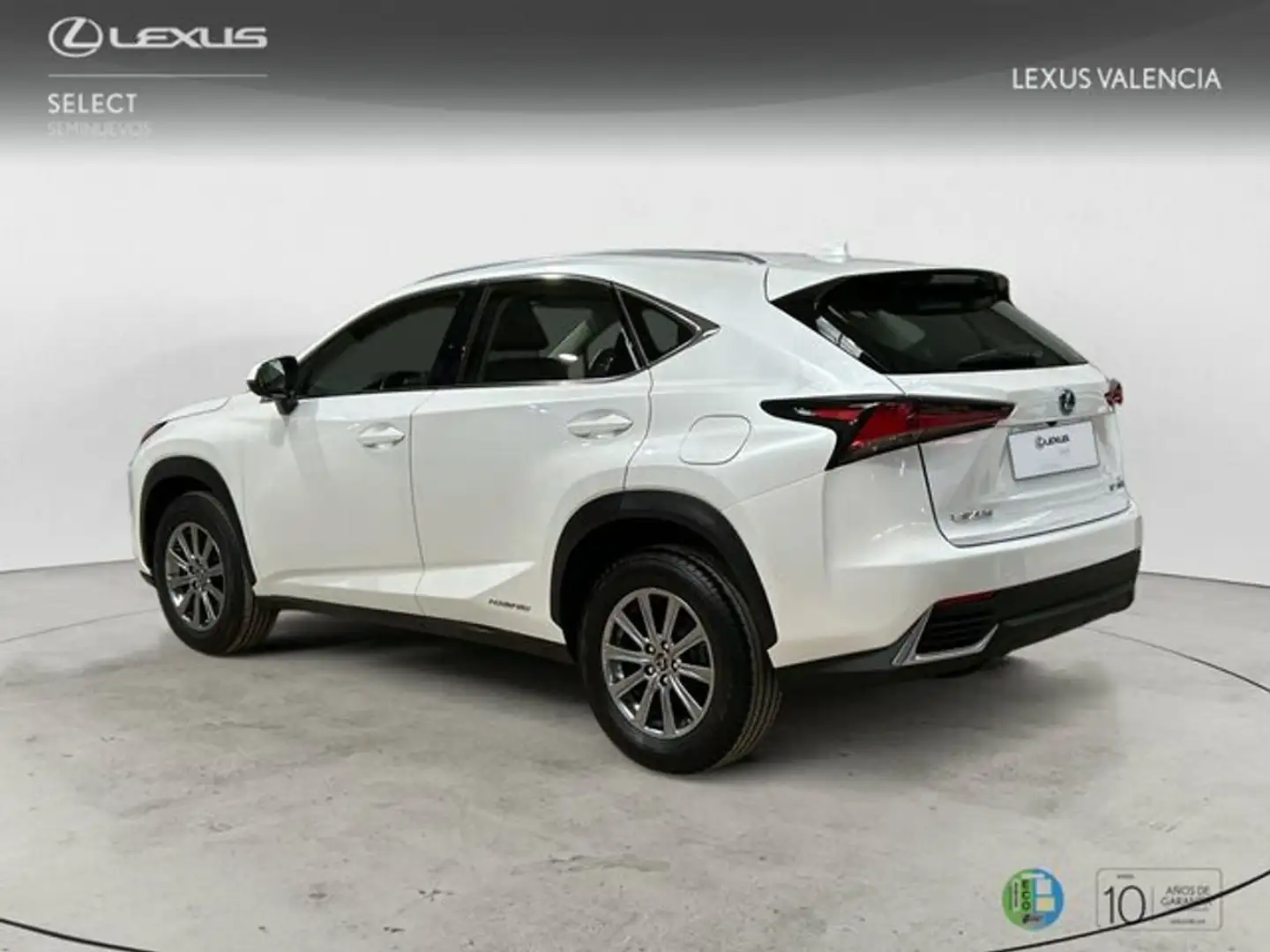 Lexus NX 350h SUV BUSINESS NAVIGATION 2WD 2.5 Híbrido Gasolina Bianco - 2
