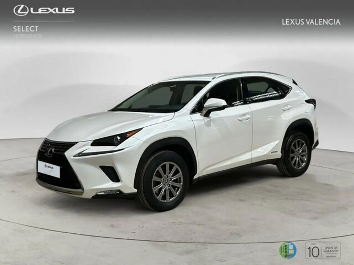 Lexus NX 350h SUV BUSINESS NAVIGATION 2WD 2.5 Híbrido Gasolina Blanc - 1