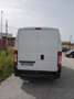 Fiat Ducato portato al nuovo - thumbnail 3
