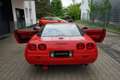 Corvette C4 C4 5.7 V8 TARGA+1.HD+6.GANG-SCHALTER+H-ZULASSUNG crvena - thumbnail 8