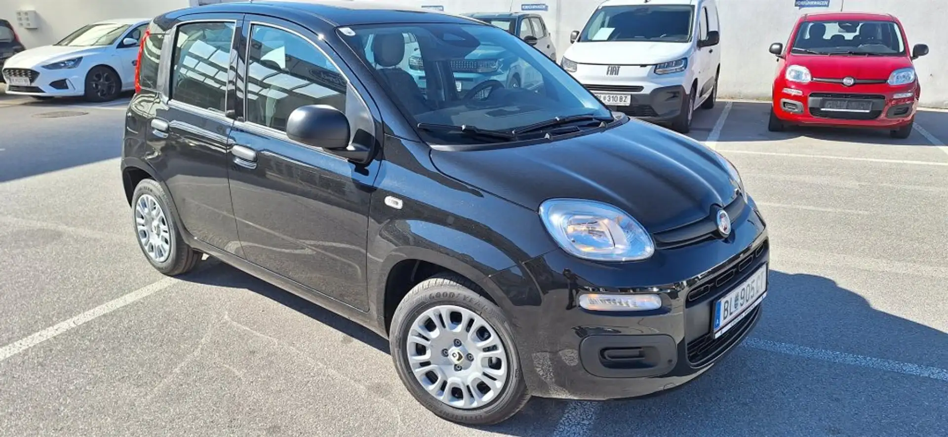 Fiat Panda / Pandina MY25 Schwarz - 2