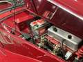MG TF 1.500 restaurata / ASI ORO Rosso - thumbnail 12