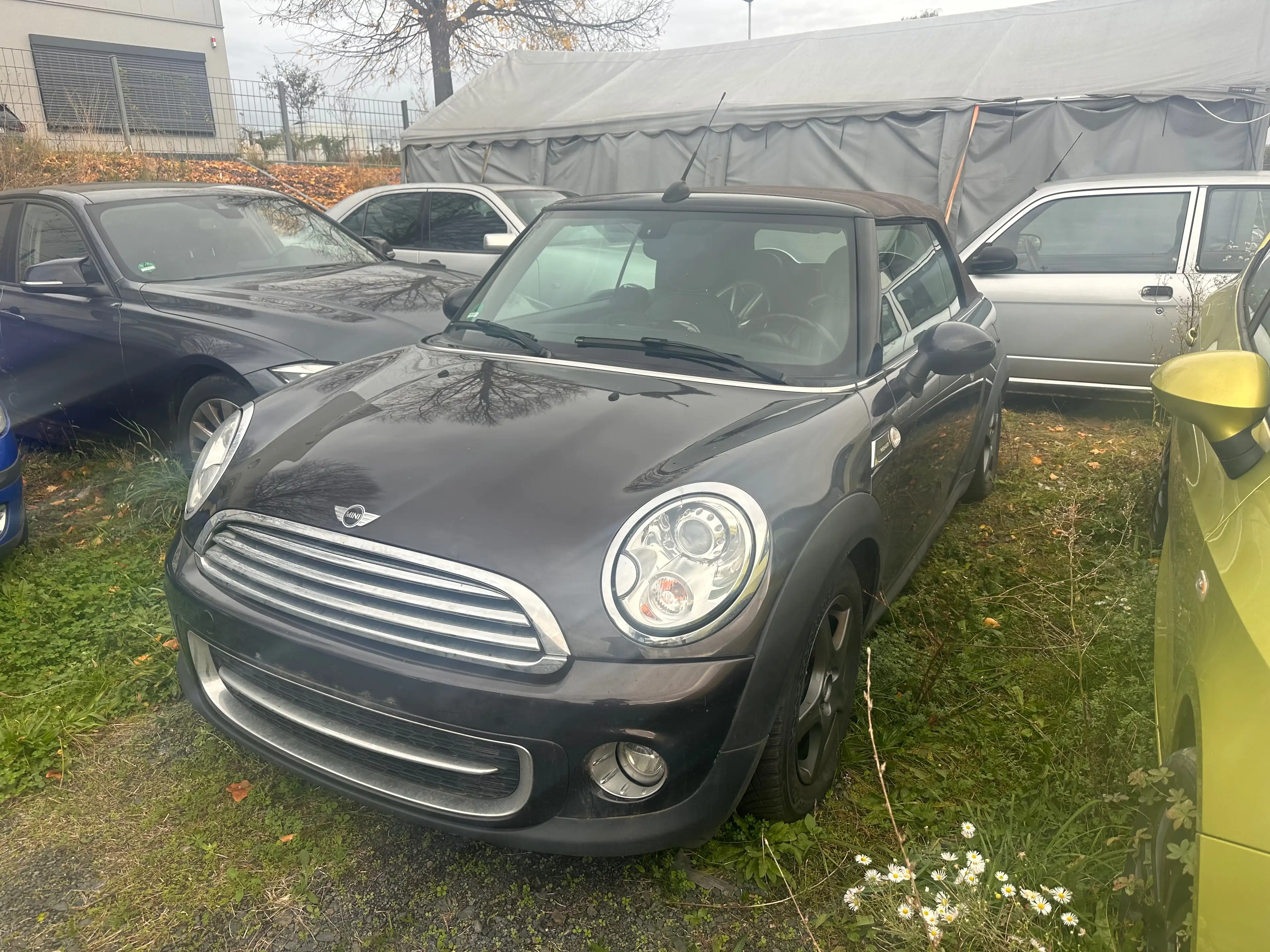 MINI Cooper D Cabrio MINI CABRIO Diesel Aut. Highgate — photo 2