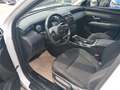 Hyundai TUCSON 1.6 crdi 48V Exellence 2wd dct Bianco - thumbnail 6